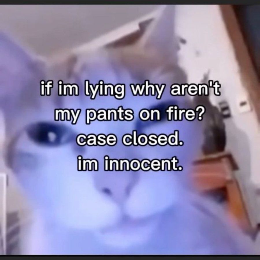cat meme that says - if im lying why aren't my pants on fire? case closed. im innocent.